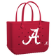 Alabama Crimson Tide