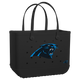 Carolina Panthers
