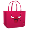 Chicago Bulls