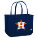 Houston Astros