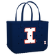 Illinois Fighting Illini