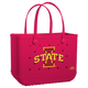 Iowa State Cyclones