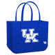 Kentucky Wildcats