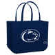 Penn State Nittany Lions