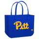 Pittsburgh Panthers