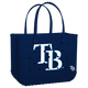 Tampa Bay Rays