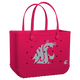 Washington State Cougars