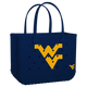 West Virginia Mountaineers