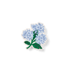 Blue Hydrangea